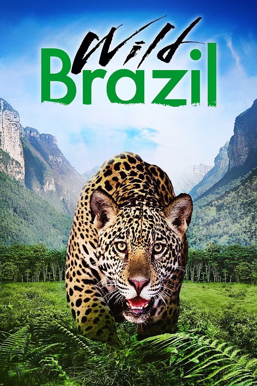 Постер Wild Brazil